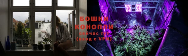 винт Бородино