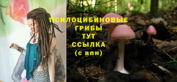 прущая мука Бронницы