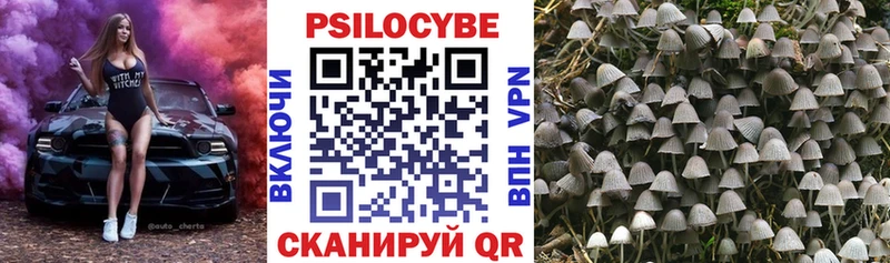 Галлюциногенные грибы GOLDEN TEACHER  Мончегорск 